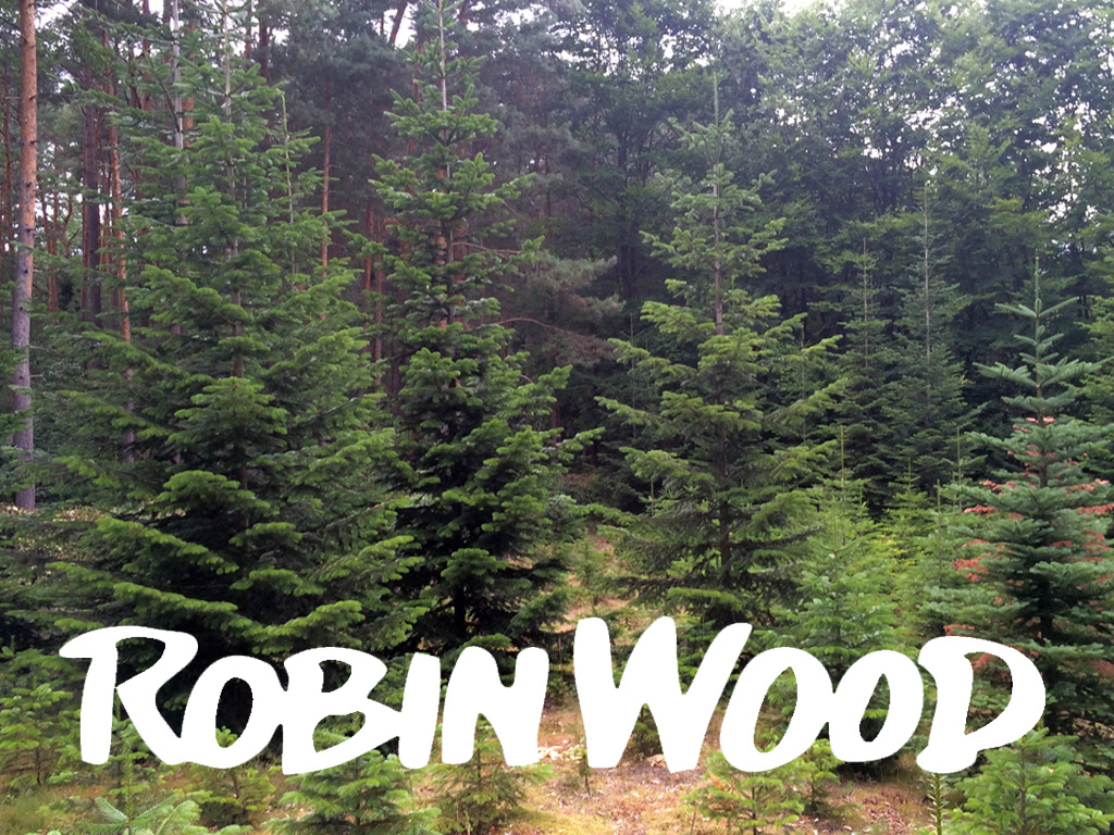 Robin Wood verrät, wo Sie einen Bio Weihnachtsbaum in Ihrer Nähe kaufen können.